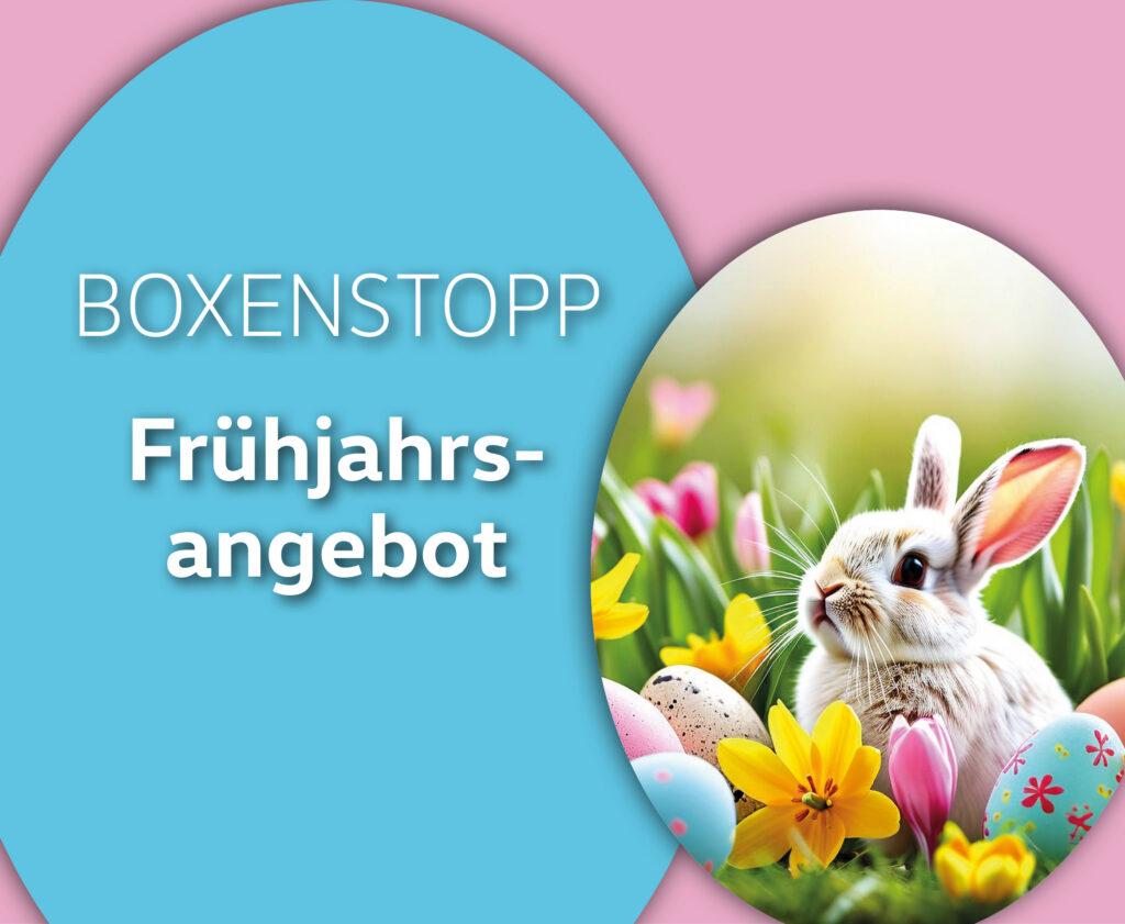 zwei Ostereier vor einem pinken Hintergrund mit der Aufschrift 'Frühjahrs-Check mit kostenloser Innenraumreinigung'